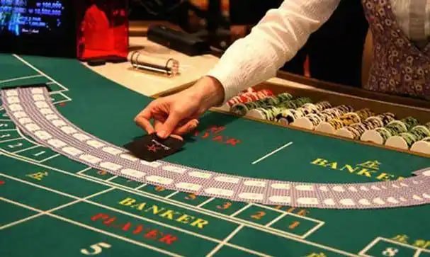 Antarmuka aplikasi goku togel menampilkan turnamen WTA Tour dengan jadwal dan statistik pemain